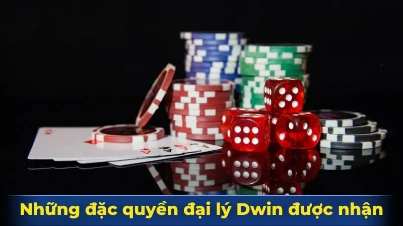 Những đặc quyền đại lý Dwin được nhận